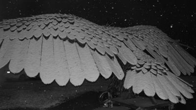 Power of Flight